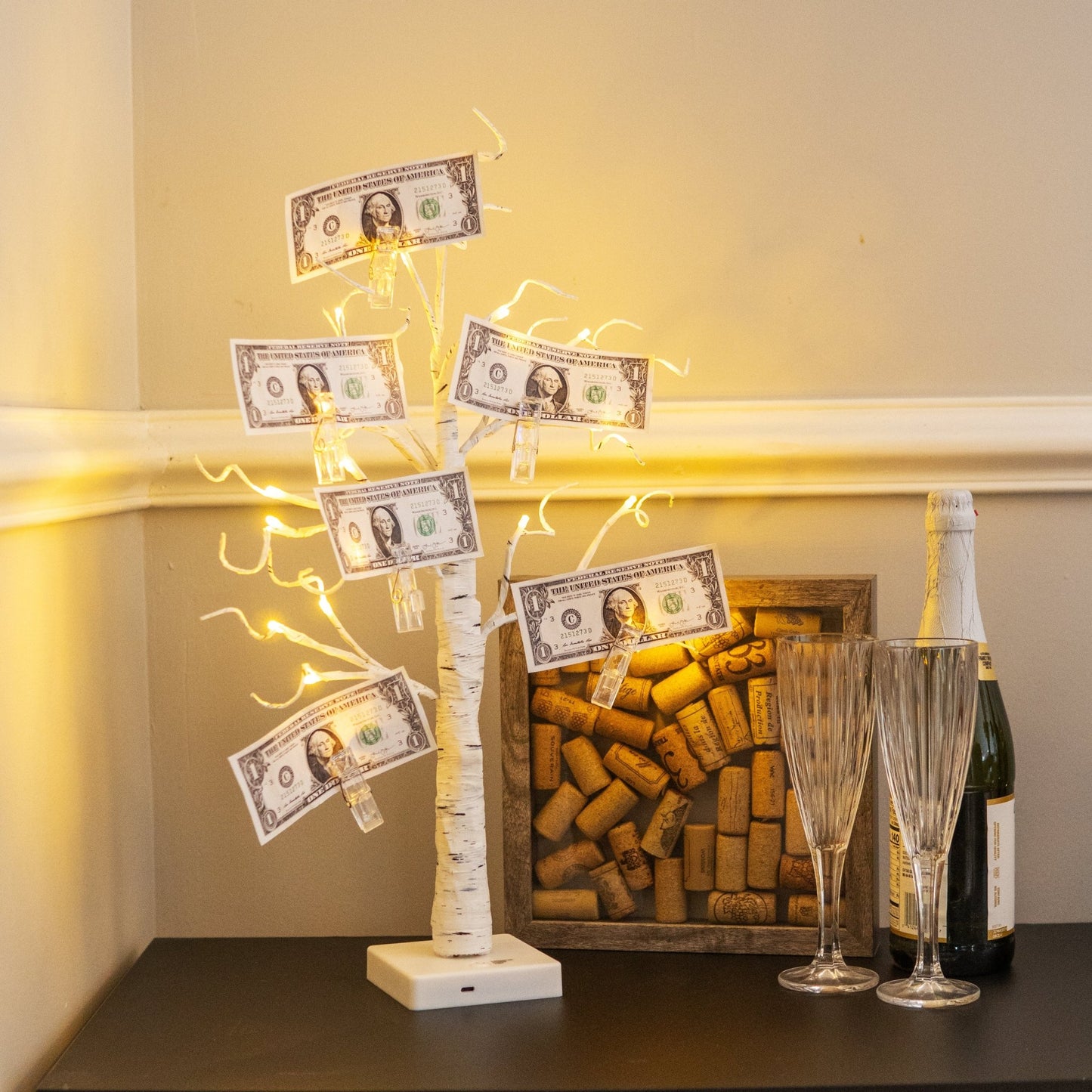 Divine Money Tree - 2 Pack - Alfanite Store